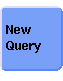 www/gif/button-new-query.gif